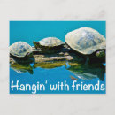 Search for pond turtle postcards Log