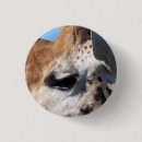 Search for giraffe badges Nature