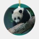 Search for zoo christmas tree decorations Bear