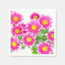 Search for aster Daisies