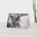 Search for male christmas cards Reindeer