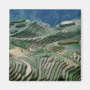 Search for terrace magnets Agricultural