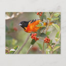Search for padre postcards Usa