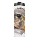 Search for falconer mugs Peregrine falcon