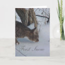 Search for kitten christmas cards Winter