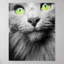Search for rescued art Cat lover