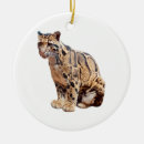 Search for big christmas tree decorations Jungle