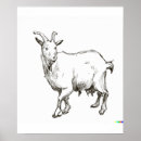 Search for ukiyo e posters Asian