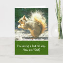Search for funny squirrel cards Humour
