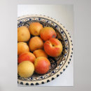 Search for apricot art Colourful