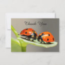 Search for ladybug thank you cards Modern