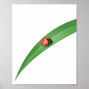 Search for bug kids posters Nature