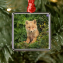 Search for young christmas tree decorations Alaska