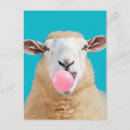 Search for gums postcards Cute