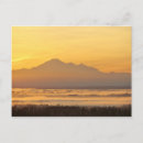 Search for fog postcards Orange