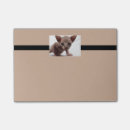 Search for wrinkle cards invites Cute