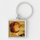 Search for big cat predators key rings Lion