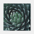 Search for perennials magnets Garden