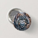 Search for orangutans badges Wild animals