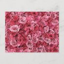 Search for pink background postcards Petals