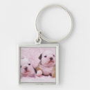 Search for often key rings Horizontal