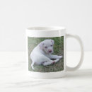 Search for american bulldog mugs Puppy