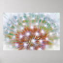 Search for dandelion art Puff