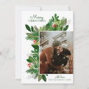 Search for winter greenery christmas cards Botanical