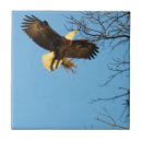 Search for wings tiles Nature