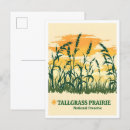 Search for tallgrass postcards National preserve