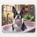 Search for taking a bath Dog