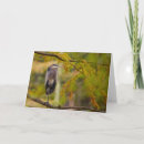 Search for great blue heron cards Birds