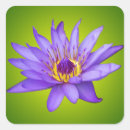 Search for water lily pond stickers Green