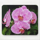 Search for white bloom electronics Mouse