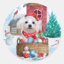 Search for maltese dogs stickers Animal