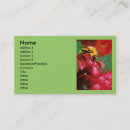 Search for bumble bee business cards Nature