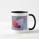 Search for mit mugs Cute