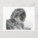 Search for pen and ink drawing postcards Dog