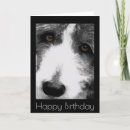 Search for beard birthday cards Celebration