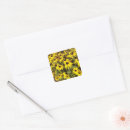 Search for black eyed susan stickers Photography
