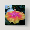 Search for floras badges Fun