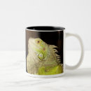 Search for green iguana mugs Photography