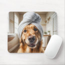 Search for retriever electronics Canine