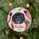Search for puppys 1st christmas tree decorations Modern pet