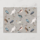 Search for watercolor bird postcards Elegant