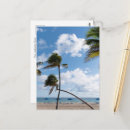 Search for florida vacation cards Palm trees