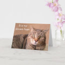 Search for funny feel better soon cards Cat