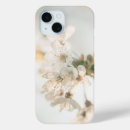 Search for cherry tree photography Floral