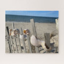 Search for fences photography Beach