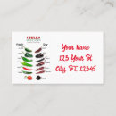 Search for chile business cards Mexican